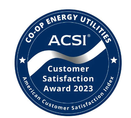 acsi logo