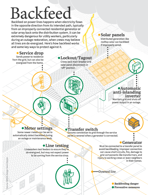 backfeed infographic