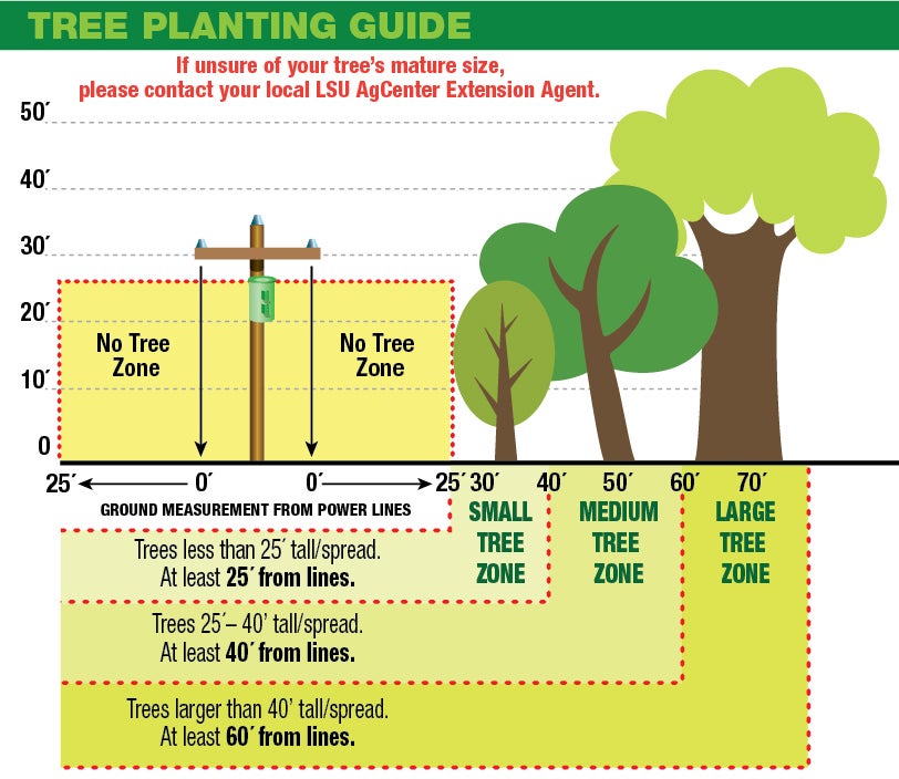 Tree Planting Guide