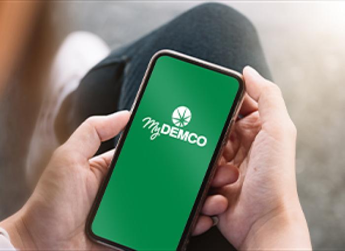 mobile app